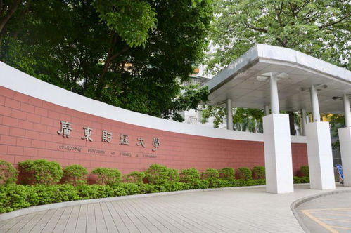 广东财经大学成人大专,广东财经大学国际学院是什么学历