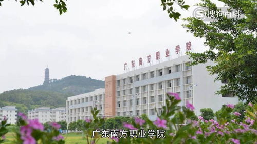 广东成人高考学校推荐,广东成人高考可以上哪些大学？