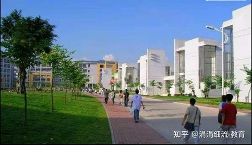 广东省都有哪些本科大学,广东省本科大学有哪些