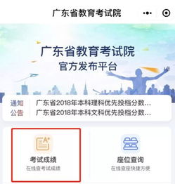 广东省教育考试院查成绩,广东高考怎么查分数