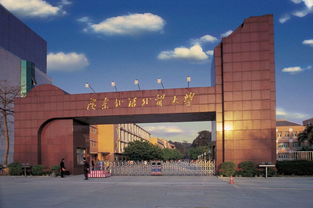 广东省外语外贸大学公开学院,广东外语外贸大学公开学院是本科吗