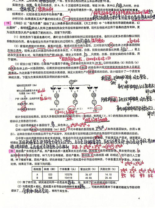 广东省2022年高考报名人数有多少,2022和2023广东高考人数