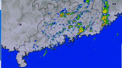 广东省2022年4月自考成绩查询时间,2022年4月广东自考成绩查询系统入口？