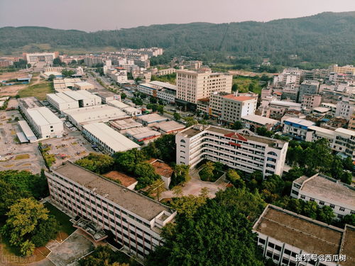 广东汉语言专科停考了吗,汉语言文学专科自考取消了吗