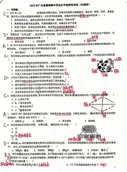 2022年广东春季高考成绩什么时候出,2023年广东春季高考什么时候出成绩